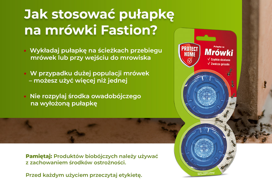 Jak stosować pułapkę na mrówki Fastion? - infografika