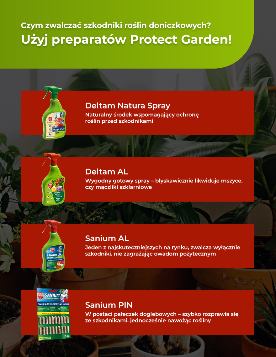 Czym zwalczać szkodniki roślin doniczkowych? Użyj preparatów Protect Garden! - infografika.