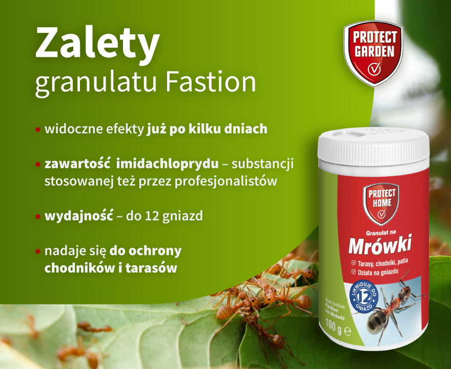 Zalety granulatu Fastion - infografika