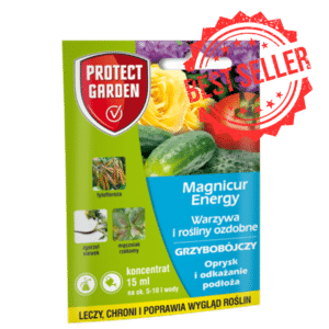 Magnicur Energy