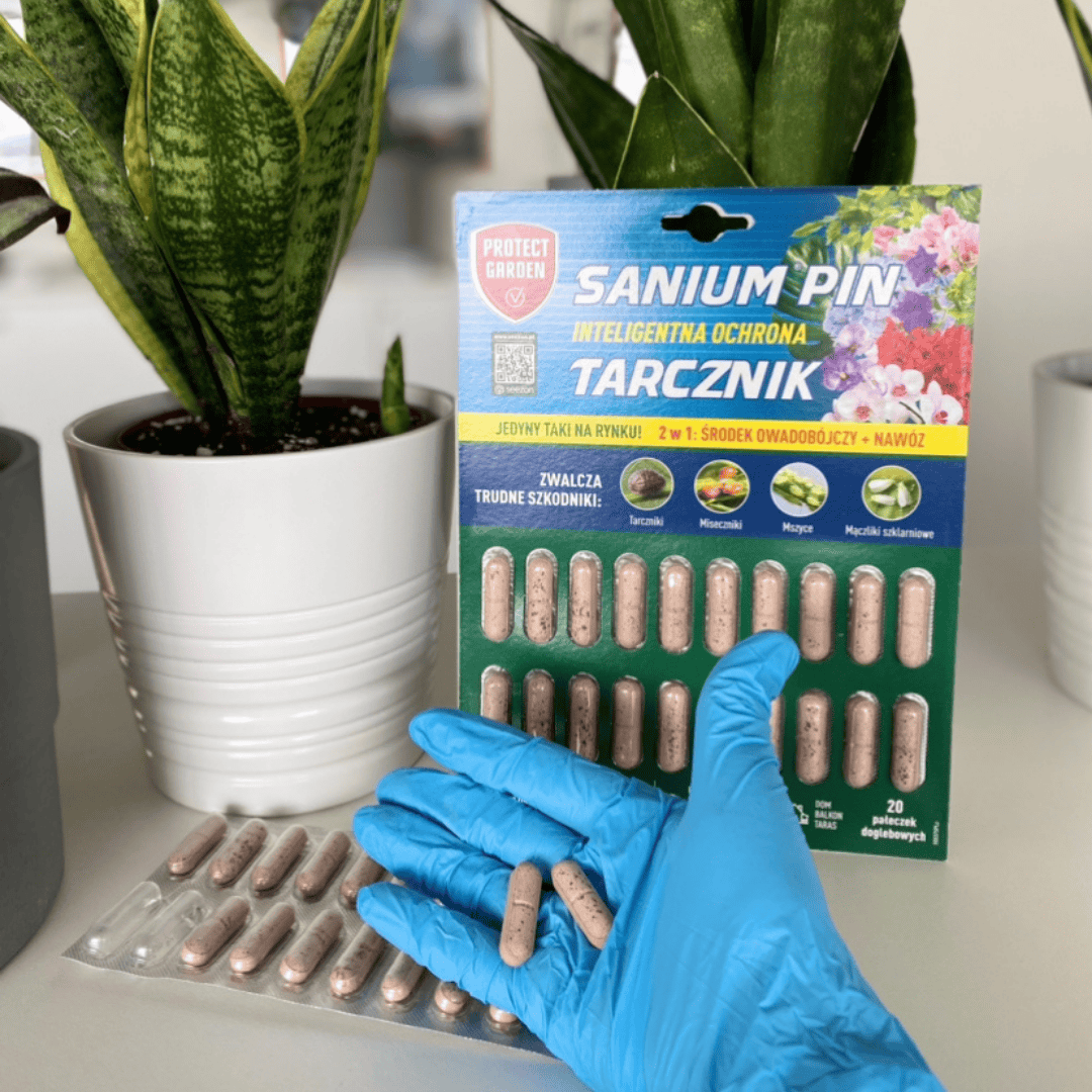 sanium pin pałeczki