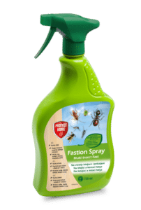 Fastion Spray