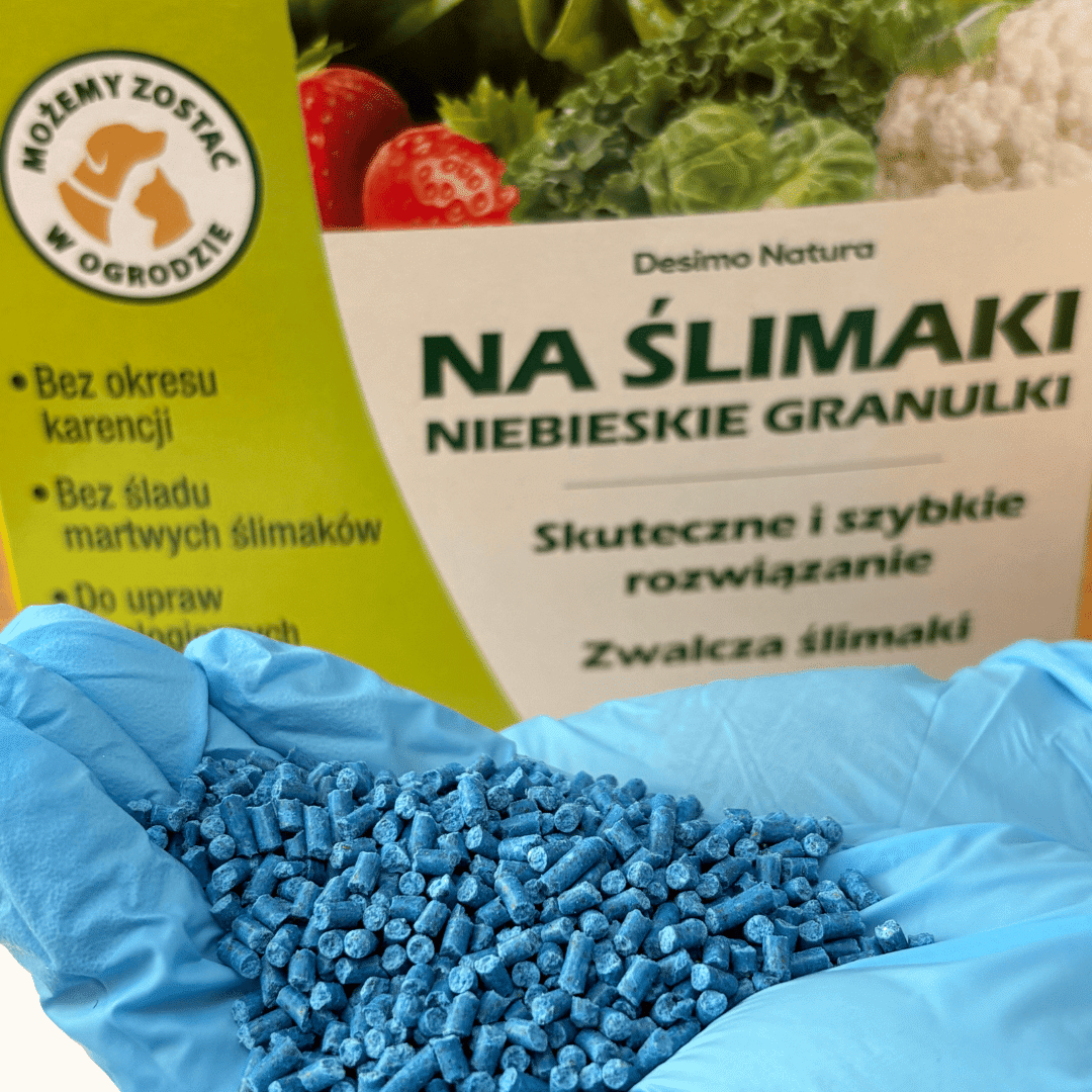 desimo natura granulki niebieskie w przybliżeniu