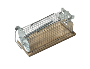 żywołapka drewniana na myszy