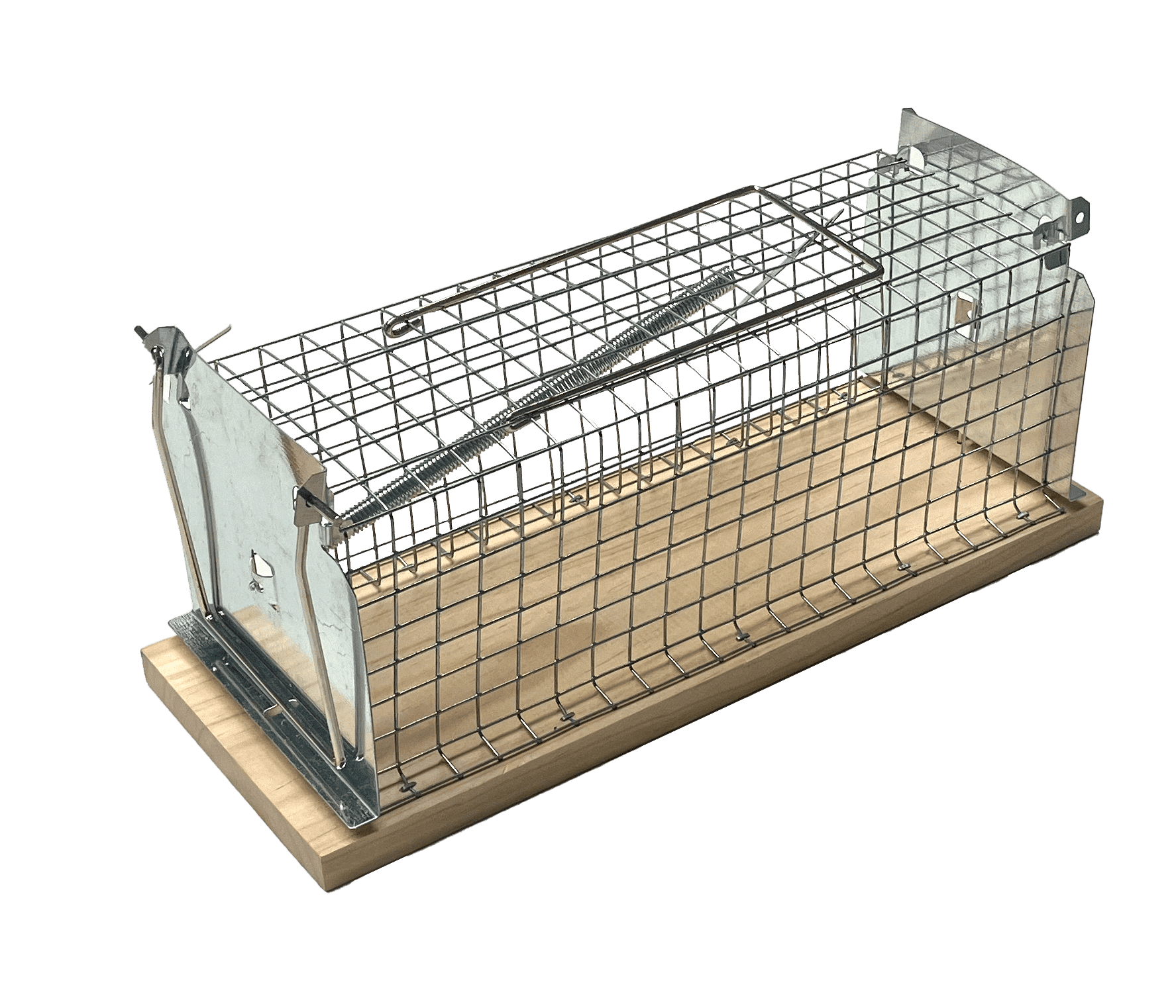 żywołapka drewniana na szczury