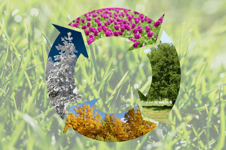 jaki nawóz na który sezon